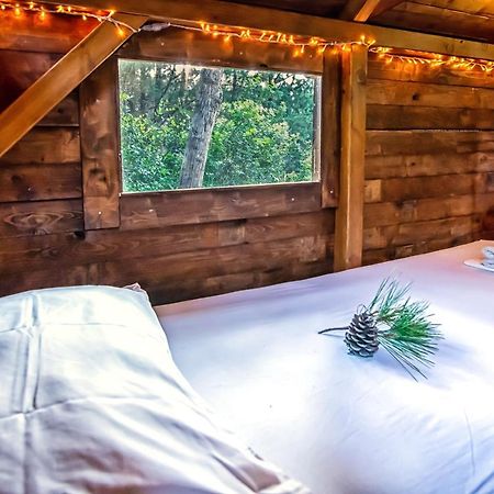 Drolma Ling Nature Cabins Theológos Exteriör bild