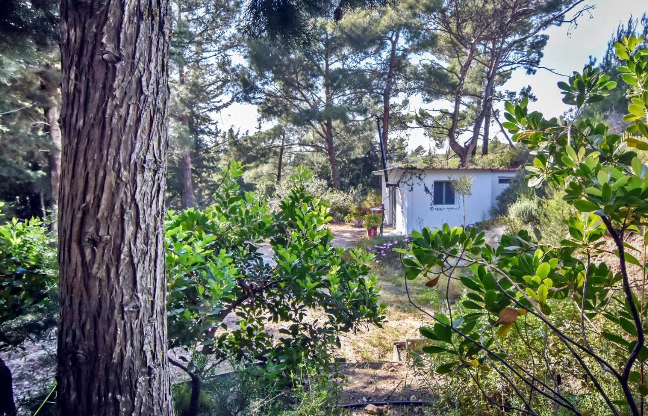 Drolma Ling Nature Cabins Theológos Exteriör bild