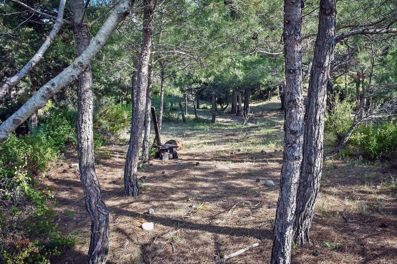 Drolma Ling Nature Cabins Theológos Exteriör bild