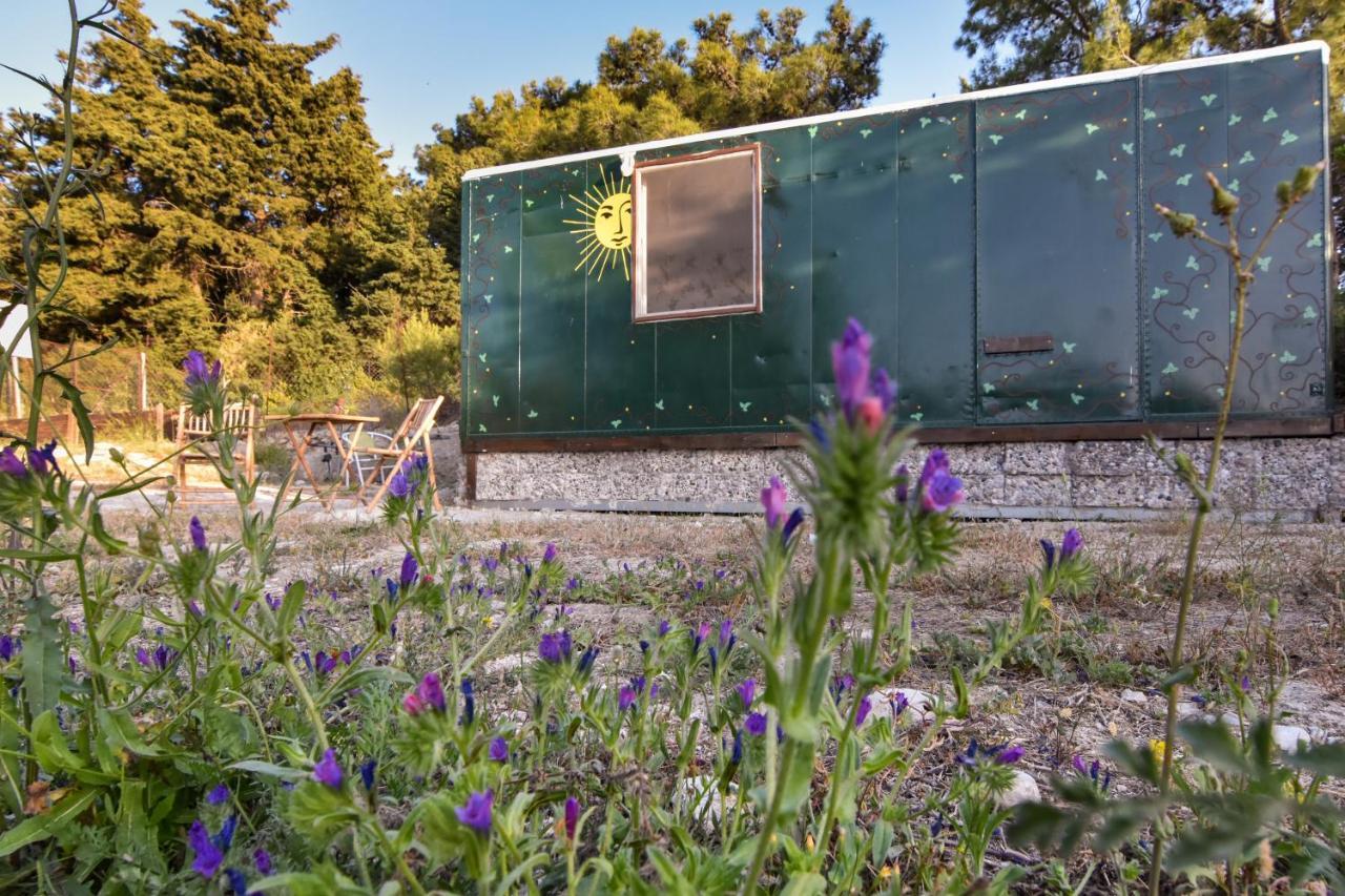 Drolma Ling Nature Cabins Theológos Exteriör bild