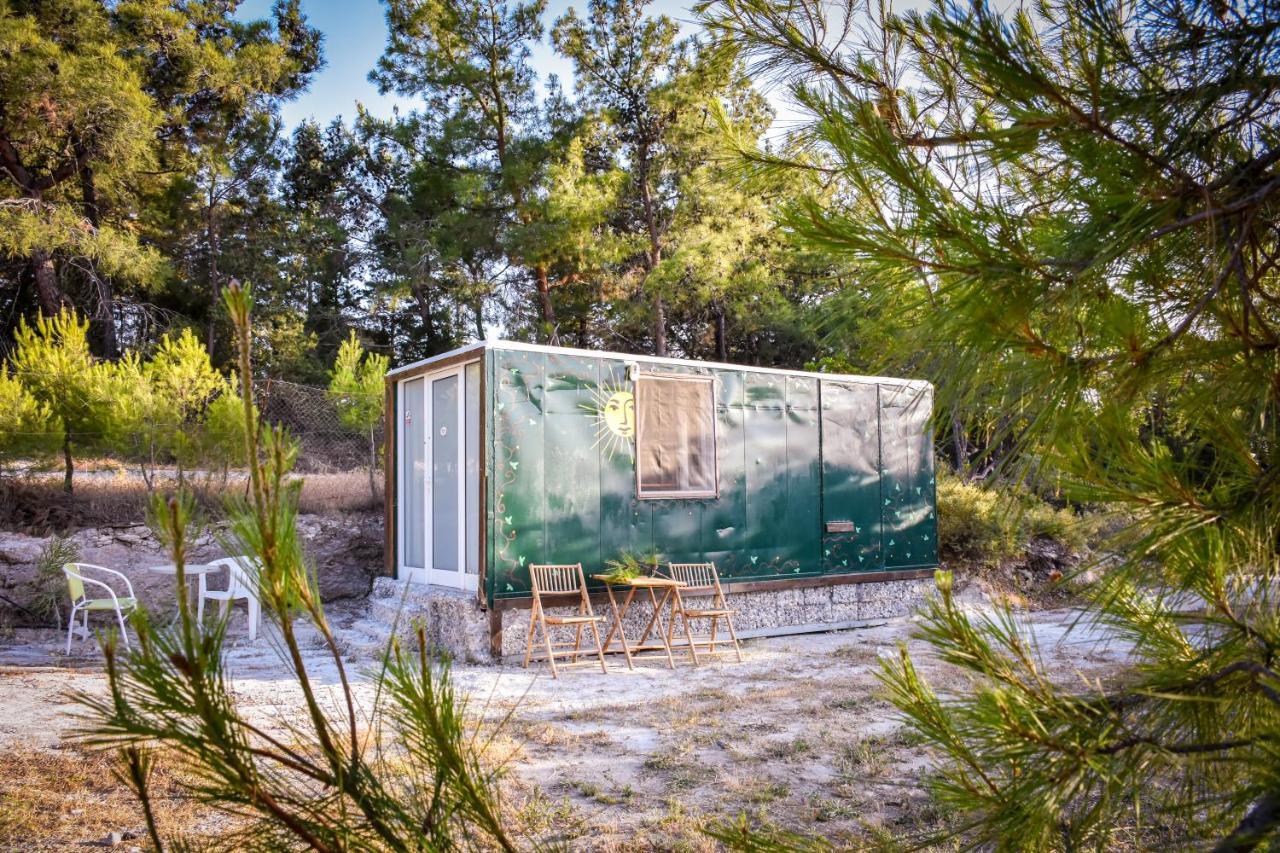 Drolma Ling Nature Cabins Theológos Exteriör bild