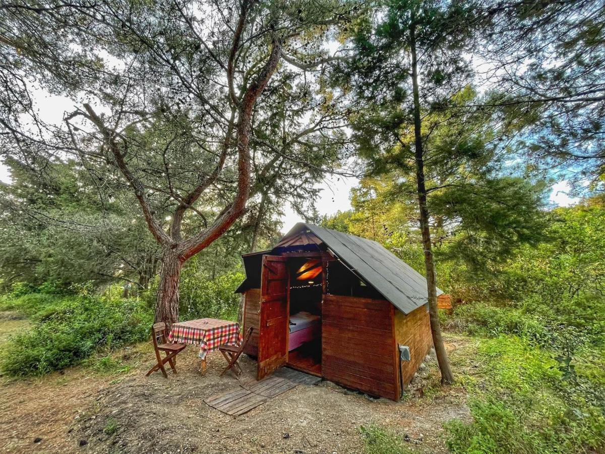 Drolma Ling Nature Cabins Theológos Exteriör bild